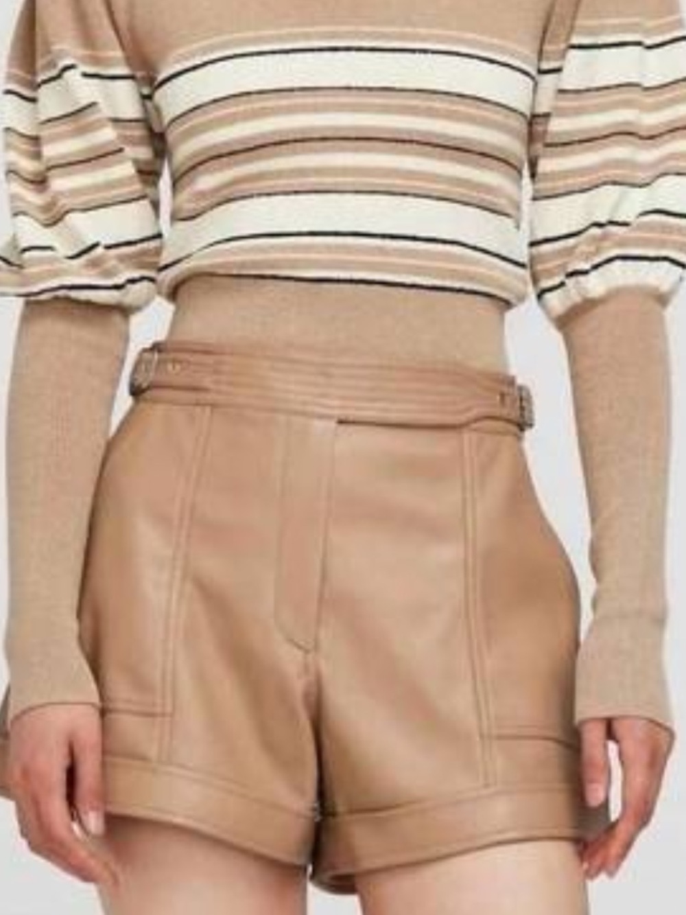 NWT JONATHAN SIMKHAI chace belted shorts in thorn 8